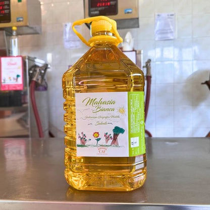 Vino Malvasia Bianca Sfuso