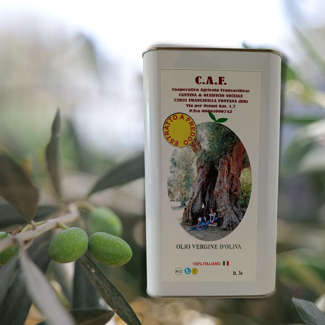 Olio Vergine d'Oliva - Cantina e Oleificio Sociale