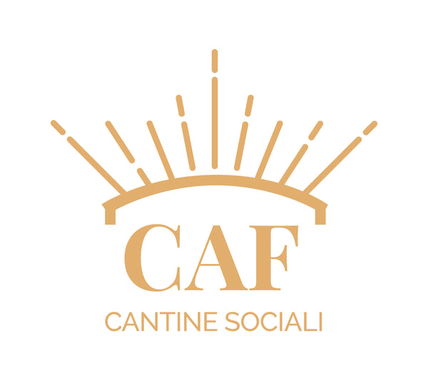 CAF Cantine Sociali